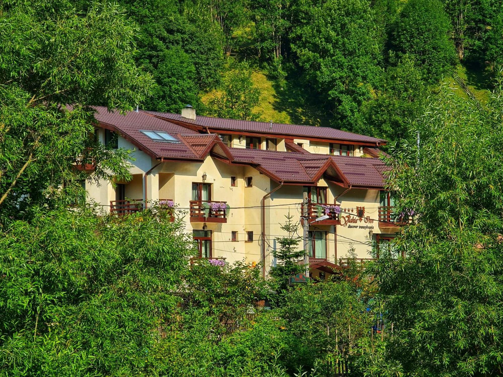 Pensiunea Vlahia Inn 모시유드서스 외부 사진